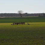 Nocleg ze śniadaniem Kirkely Vester Ulslev