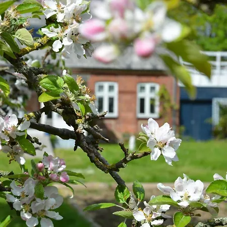 Kirkely * Vester Ulslev