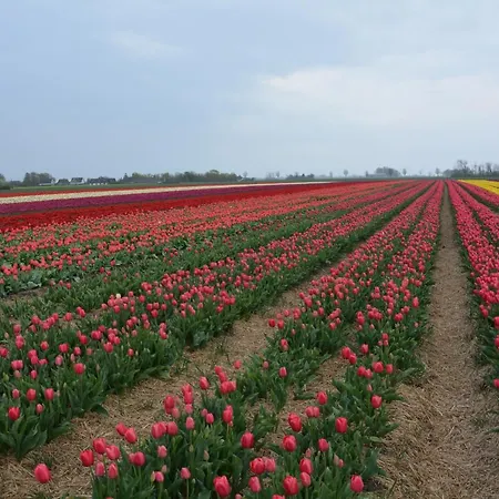 Kirkely Bed and Breakfast *