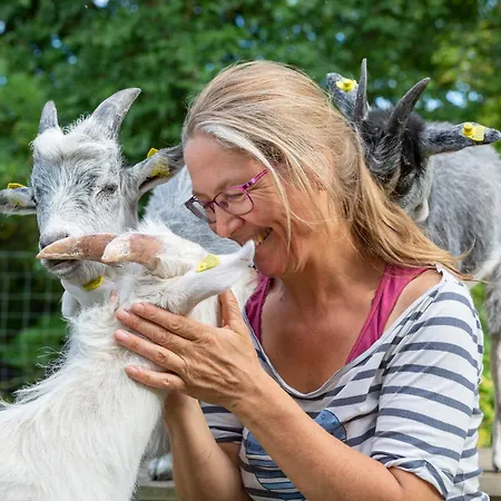 Bed and Breakfast Kirkely *