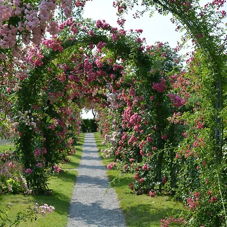 Bed and Breakfast Kirkely