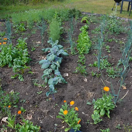 Kirkely * Vester Ulslev