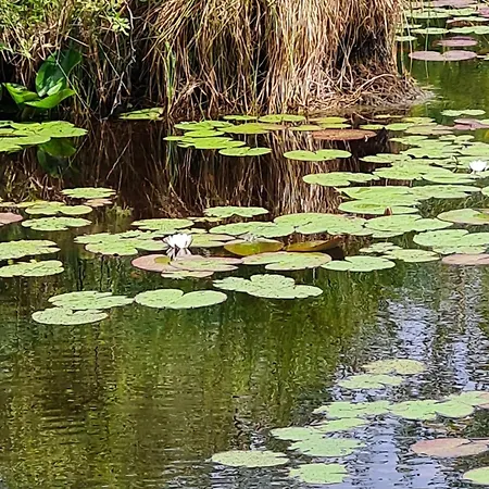 Kirkely Vester Ulslev