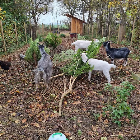 Kirkely Bed and Breakfast