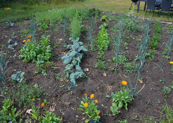 Kirkely * Vester Ulslev