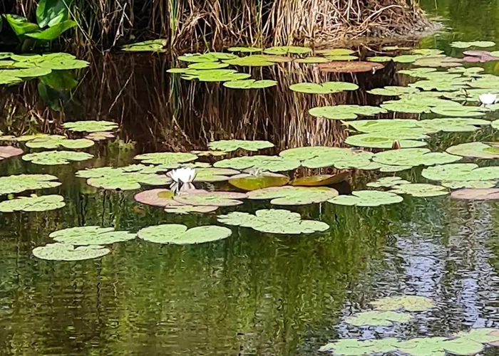 Kirkely Vester Ulslev